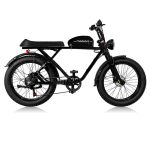 24inch Fat Tire 1000w Electric Cafe Racer Bike