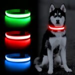 Solar And USB Rechargeable Light Up Pet Collar Waterproof LED Dog & Cat Collars For Night Walking - Image 2