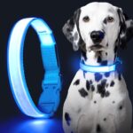 Solar And USB Rechargeable Light Up Pet Collar Waterproof LED Dog & Cat Collars For Night Walking - Image 5