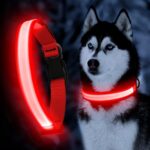 Solar And USB Rechargeable Light Up Pet Collar Waterproof LED Dog & Cat Collars For Night Walking - Image 6