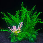 Aquarium Plants-Artificial Fish Tank Plants; Plastic Artificial Plant; Fish Hides Aquatic Plants - Image 4