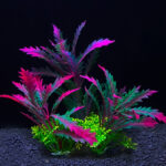 Aquarium Plants-Artificial Fish Tank Plants; Plastic Artificial Plant; Fish Hides Aquatic Plants - Image 6
