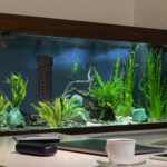 500W Submersible Aquarium Heater Temperature Adjustable External Controller 79Gal Fish Tank Heater Aquarium Thermostat Heater For Freshwater Saltwater - Image 5
