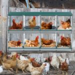 8 Compartment Chicken Nesting Boxes,For Laying Eggs, Metal Poultry Nest Box Wall Mount for Chickens, Hens, Large Vented Holes Chicken Coop Box - Image 6