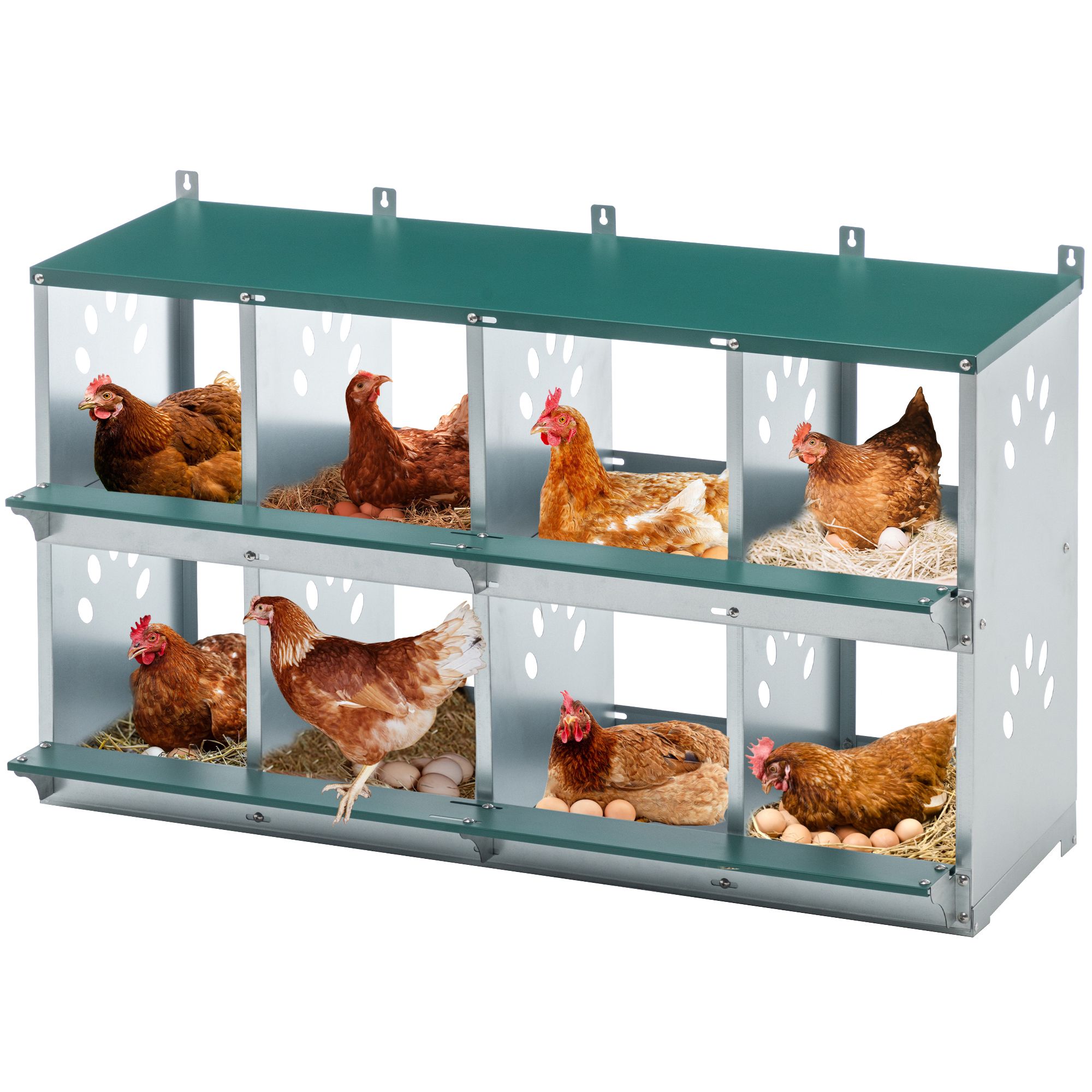 d0102hscbn6 8 Compartment Chicken Nesting Boxes,For Laying Eggs, Metal Poultry Nest Box Wall Mount for Chickens, Hens, Large Vented Holes Chicken Coop Box - Image 1